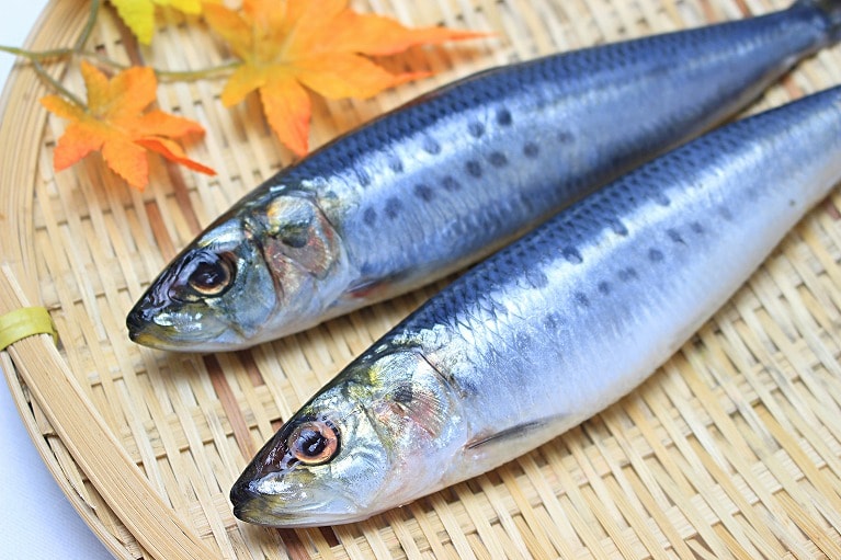 山陰特産の鮮度抜群の獲れたて魚介や各種加工品をお届けいたします