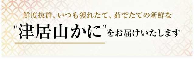 鮮度抜群、いつも獲れたての新鮮な”津居山かに”をお届けいたします